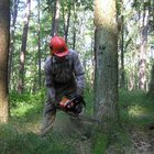 20112308130821-482.jpg